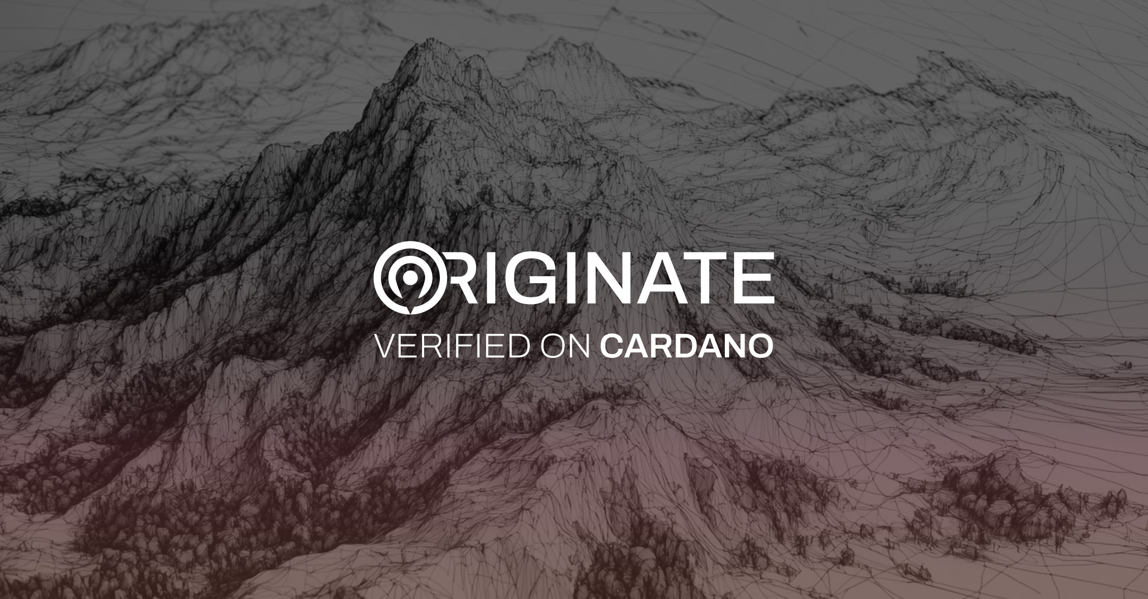 weekly development report