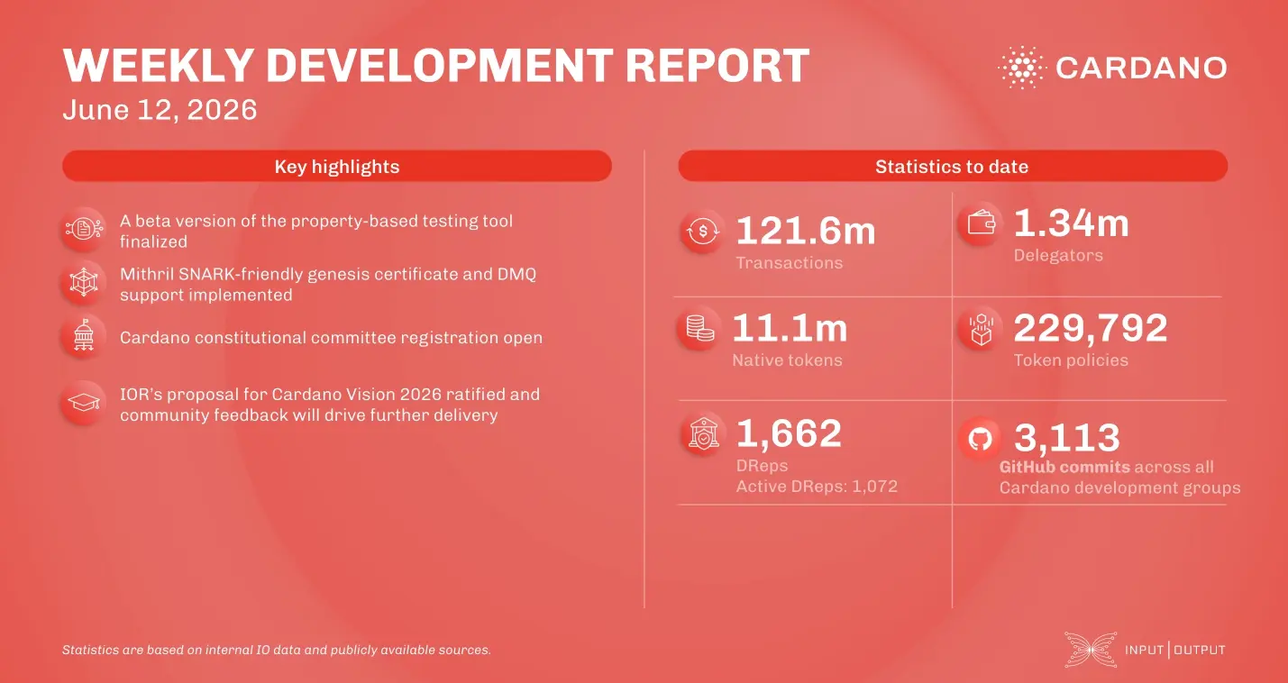 weekly development report