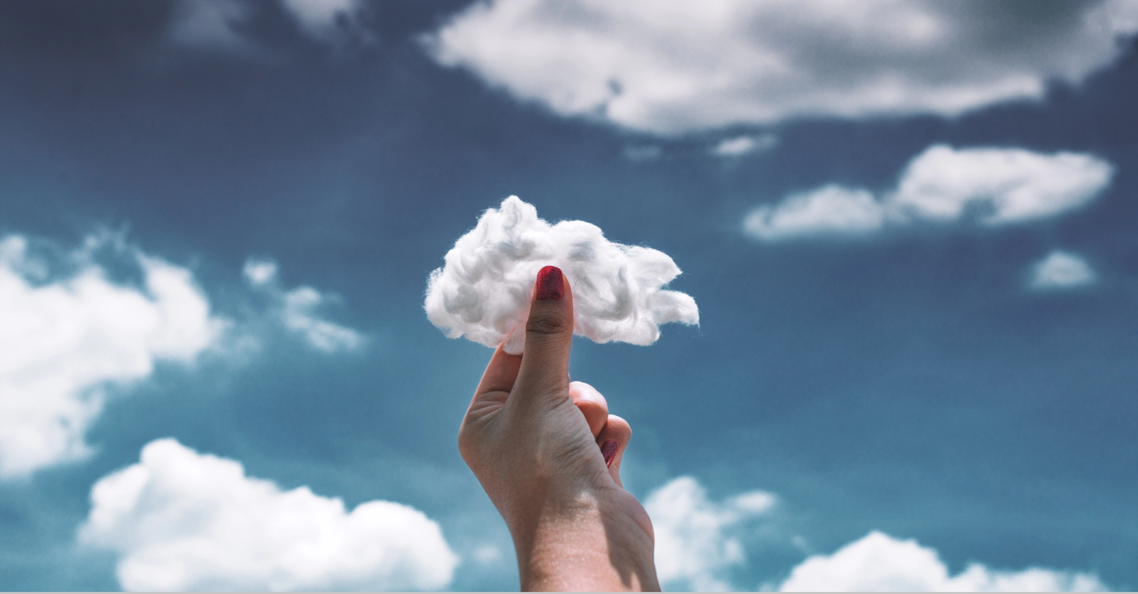 weekly development report