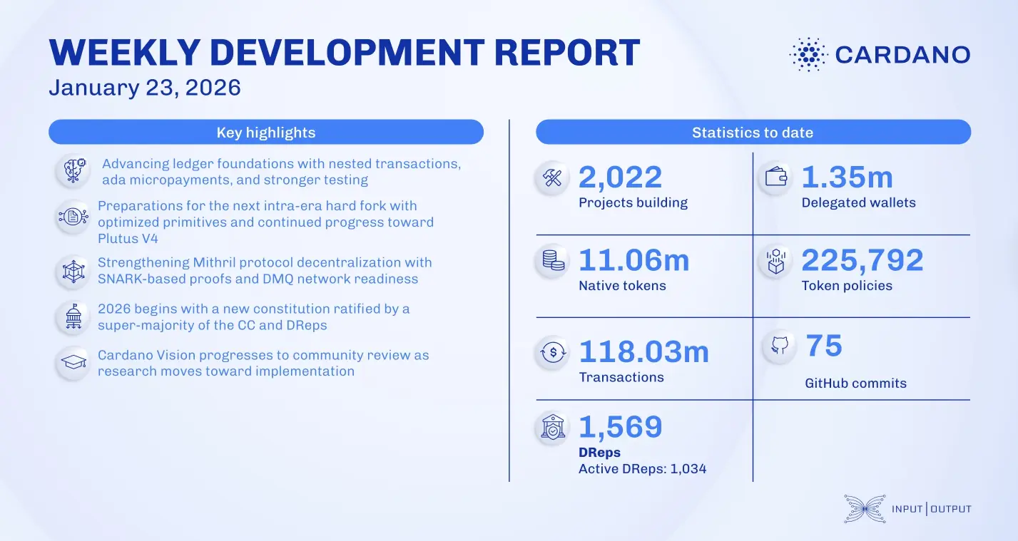 weekly development report
