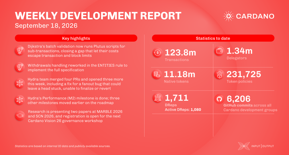 weekly development report banner
