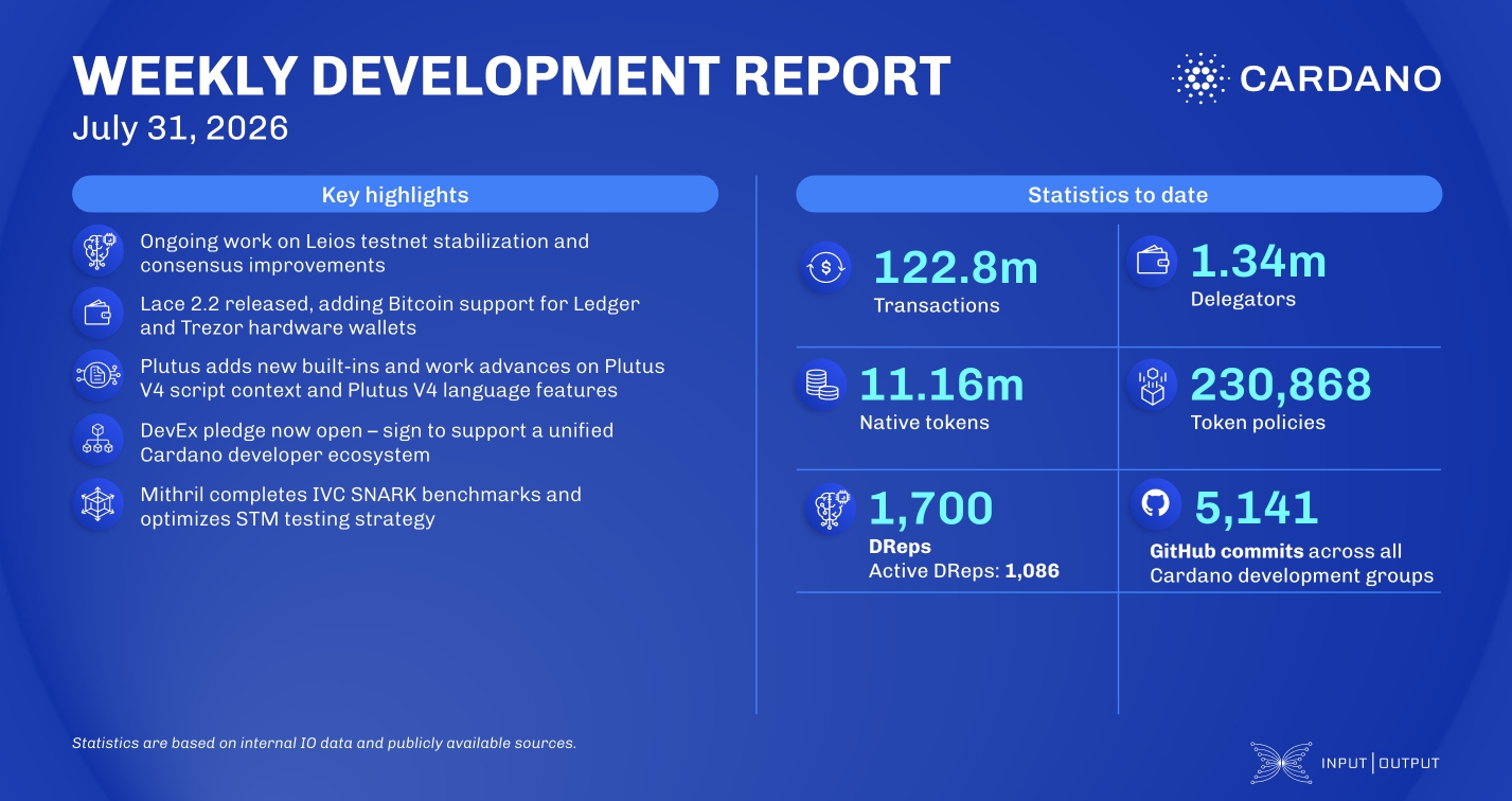Weekly Development Report
