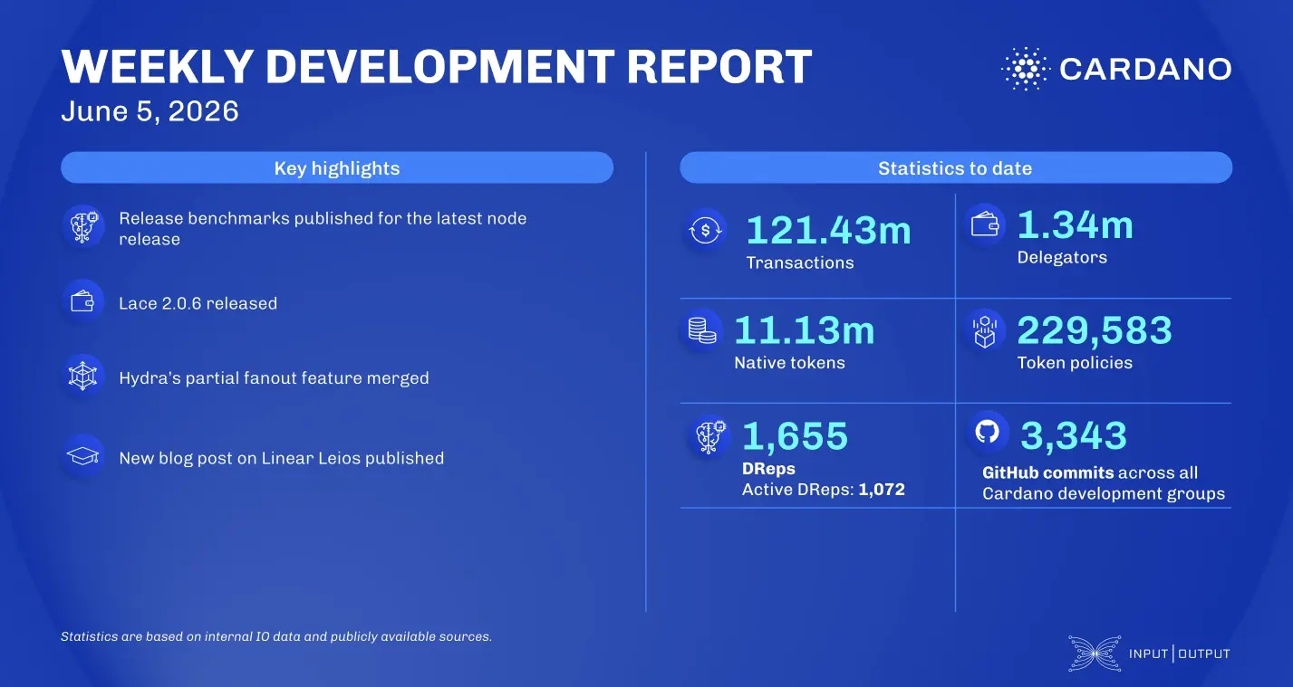 weekly development report