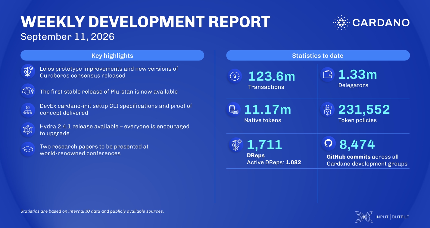 weekly development report banner