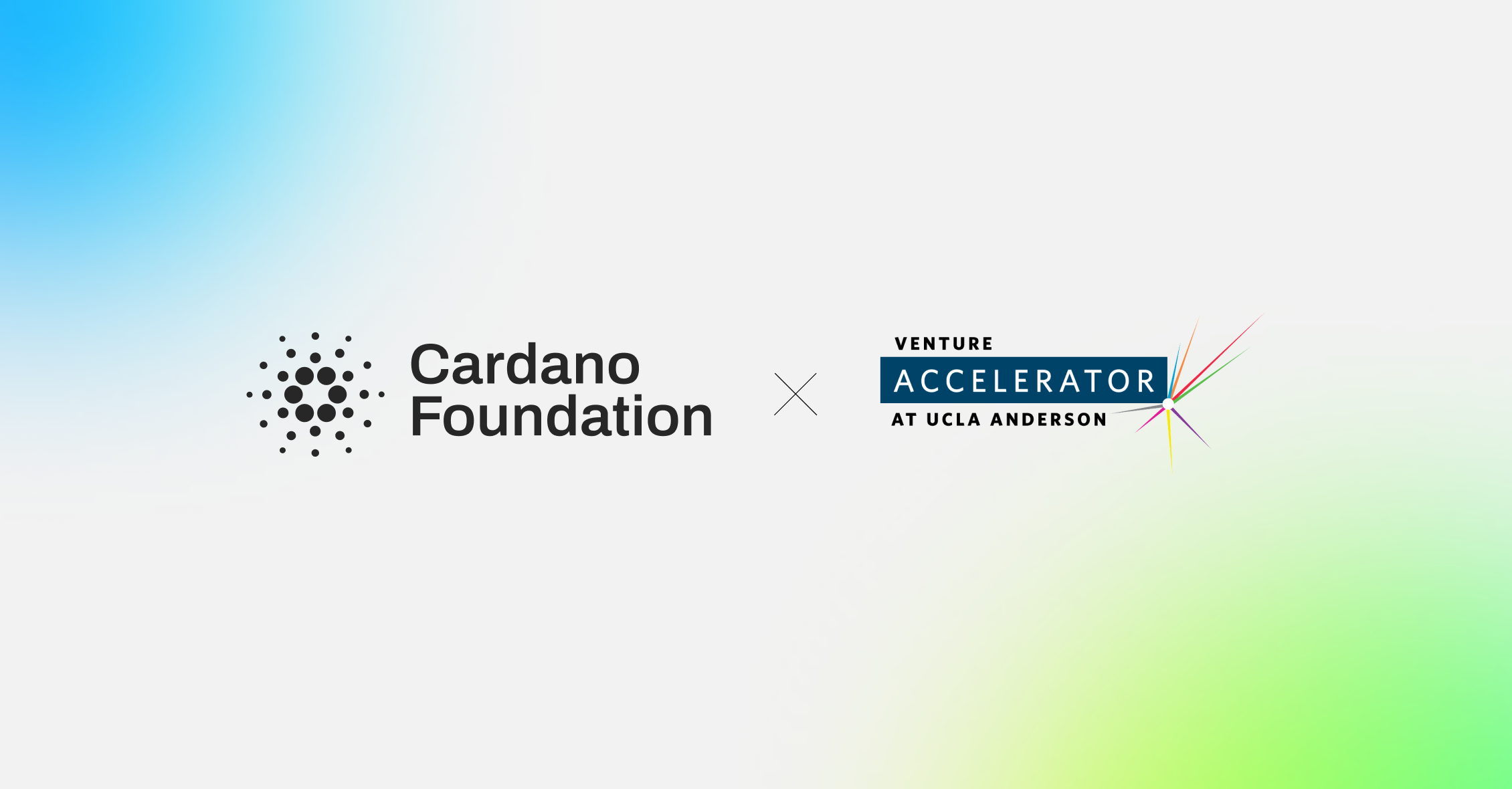 cardano foundation and ucla anderson venture accelerator banner