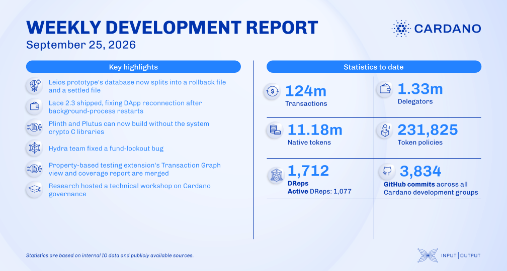 weekly development report banner
